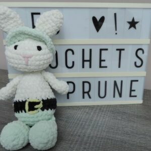 Les Crochets de Prune - Bunny le lapin