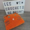 Les-crochets-de-prune-décoration-maison-coussin-tigre1