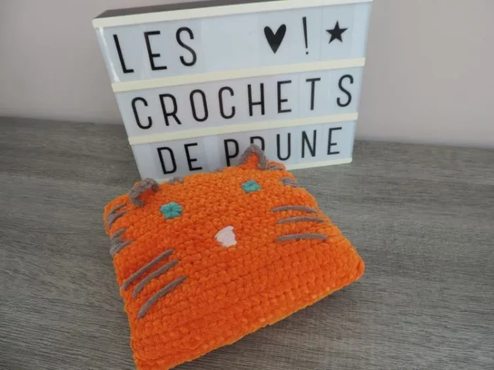 Les-crochets-de-prune-décoration-maison-coussin-tigre1