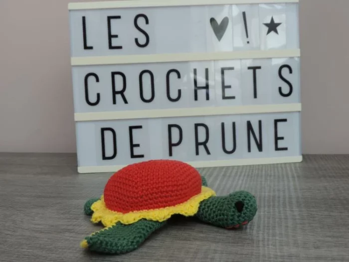 Les Crochets de Prune -tortue à aiguilles jaune rouge verte1