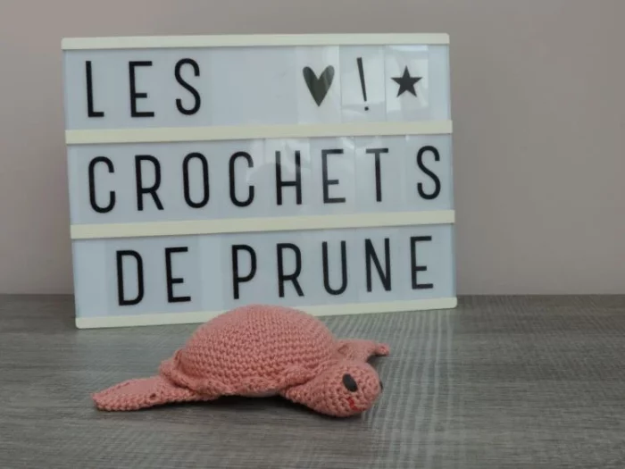 Les Crochets de Prune -tortue à aiguilles rose corail 1