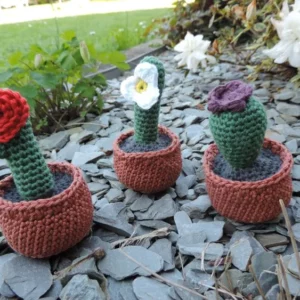 Les Crochets de Prune - 3 cactus