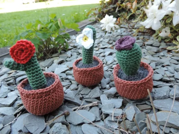 Les Crochets de Prune - 3 cactus