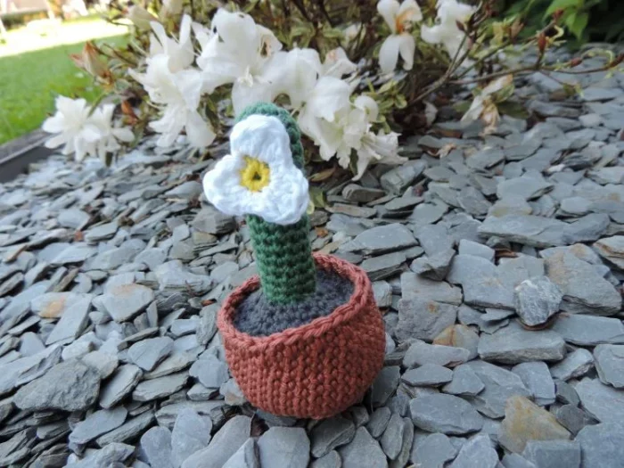 Les Crochets de Prune - cactus blanc