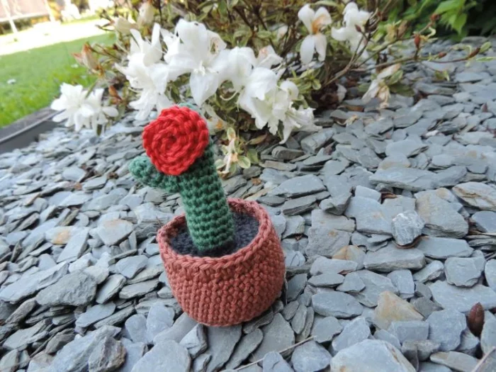 Les Crochets de Prune - cactus rouge