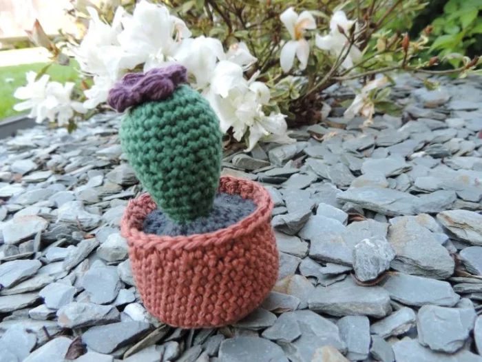 Les Crochets de Prune - cactus violet